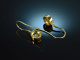 Leuchtendes Gr&uuml;n! Elegante Ohrringe Peridot in Strahlenschliff Gold 750