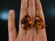 Baltic Amber! Sch&ouml;ne Bernstein Tropfen Ohrringe Silber 925 vergoldet