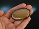 Vienna at 1900! Beautiful large striped agate brooch with garnet in silver