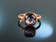 Soft Violet! Traum Amethyst Ring Diamanten Rot Gold 585