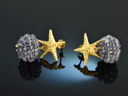 Tiny Seastars! H&uuml;bsche Iolith Kugel Ohrringe Silber...