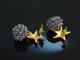 Tiny Seastars! H&uuml;bsche Iolith Kugel Ohrringe Silber 925 vergoldet