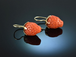 Coral Strawberries! H&uuml;bsche Erdbeer Ohrringe Gold...