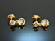 Feine Qualit&auml;t! Brillant Ohrringe mit abnehmbaren H&auml;ngern 0,6 ct Gold 750