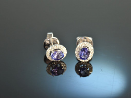 Classy Blue! Wundervolle Tansanit Ohrringe Weiss Gold 750 Diamanten