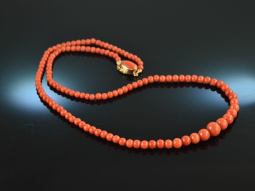 Around 1970! Beautiful red sardegna Mediterranean coral...