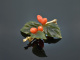 Vienna around 1950! Gorgeous rose hip brooch nephrite coral gold 585