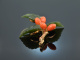 Vienna around 1950! Gorgeous rose hip brooch nephrite coral gold 585