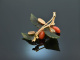 Vienna around 1950! Gorgeous rose hip brooch nephrite coral gold 585
