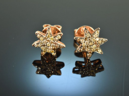 Twinkling Stars! H&uuml;bsche Stern Ohrringe cognacfarbene Brillanten 0,4 ct Ros&eacute; Gold 750