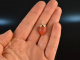Big Strawberry! Sch&ouml;ner Sardegna Korallen Erdbeer Anh&auml;nger Gold 585