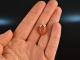 Big Strawberry! Beautiful Sardegna Coral Strawberry Pendant Gold 585