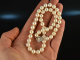 Around 1980! Classic Akoya Cultured Pearl Necklace Diamonds White Gold 750