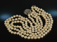 Around 1980! Classic Beautiful Akoya Cultured Pearl Necklace 3 Row Sapphire White Gold 585