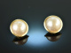 Around 1990! Classic ear clips with Mabe pearls gold 585