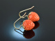 Coral Strawberries! Gro&szlig;e Korallen Erdbeer Ohrringe Gold 585