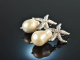 Big Sea Stars! Starfish Earrings Breeding Pearls Drop Silver 925