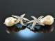 Big Sea Stars! Starfish Earrings Breeding Pearls Drop Silver 925