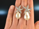 Big Sea Stars! Starfish Earrings Breeding Pearls Drop Silver 925