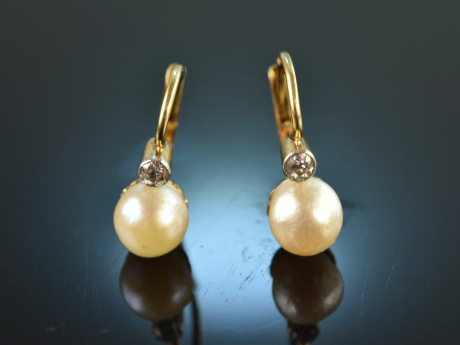 Circa 1935! Classic cultured pearls diamond earrings gold 585