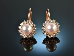 So classy! Zuchtperlen Diamant Ohrringe Ros&eacute; Gold 585