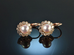 So classy! Zuchtperlen Diamant Ohrringe Ros&eacute; Gold 585