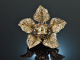 &Ouml;sterreich um 1890! H&uuml;bsche Bl&uuml;ten Brosche Diamanten Saphire Silber Gold 585