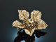 &Ouml;sterreich um 1890! H&uuml;bsche Bl&uuml;ten Brosche Diamanten Saphire Silber Gold 585