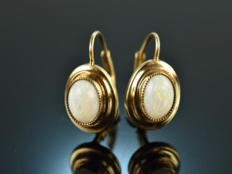 Around 1980! Beautiful opal earrings gold 585
