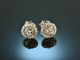 Cool Diamonds! Ohrringe mit Diamanten 0,4 ct Wei&szlig; Gold 750