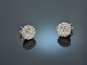 Fine Diamonds! Ohrringe mit Brillanten 0,6 ct Wei&szlig; Gold 750