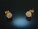 Edles Funkeln! Ohrringe mit Brillanten 0,65 ct Gold 750