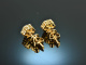 Edles Funkeln! Ohrringe mit Brillanten 0,65 ct Gold 750