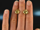 Around 1960! Chic knot ear clips gold 585