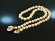 Around 1990! Fine Akoya cultured pearl necklace with opal gold 585
