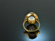 Around 1965! Beautiful cocktail ring with moonstone gold 585