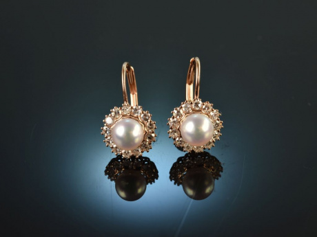 Classy Pearls! Ohrringe mit Zuchtperlen und Diamanten Ros&eacute; Gold 585