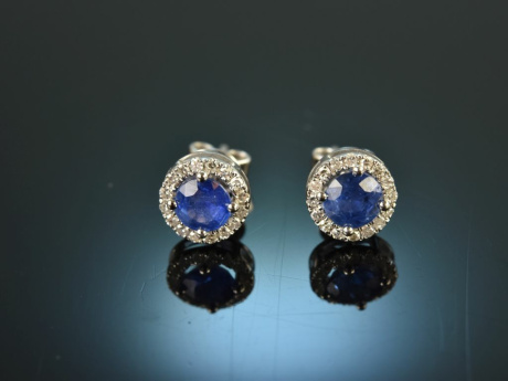 Fine Blue! Sch&ouml;ne Ohrringe mit Saphiren und Brillanten Wei&szlig; Gold 750