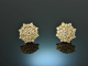 Zeitlos elegant! Traum Ohrringe mit Brillanten 1,9 ct Gold 750