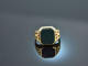 Um 1930! Klassischer Wappen Siegel Ring mit Blutjaspis Gold 585