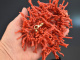 Koralle aus Torre del Greco! Gro&szlig;e Ast Korallen Kette feinstes Rot Schlie&szlig;e Silber vergoldet