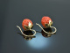 Coral Strawberries! Groe Korallen Erdbeer Ohrringe Gold 585