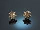 Pretty Stars! H&uuml;bsche Stern Ohrringe cognacfarbene Brillanten Ros&eacute; Gold 750