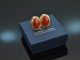 Around 1965! Fine coral earrings 750 gold
