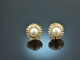 Classy Pearls! Zuchtperlen Ohrringe mit Diamanten Gold 750