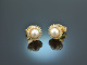 Classy Pearls! Zuchtperlen Ohrringe mit Diamanten Gold 750