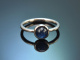 Zeitloser Design Ring mit feinem Saphir aus Wei&szlig; Gold 750