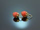 Coral Strawberries! Groe Korallen Erdbeer Ohrringe Silber 925 vergoldet