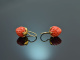 Coral Strawberries! Groe Korallen Erdbeer Ohrringe Silber 925 vergoldet
