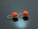 Coral Strawberries! Groe Korallen Erdbeer Ohrringe Silber 925 vergoldet